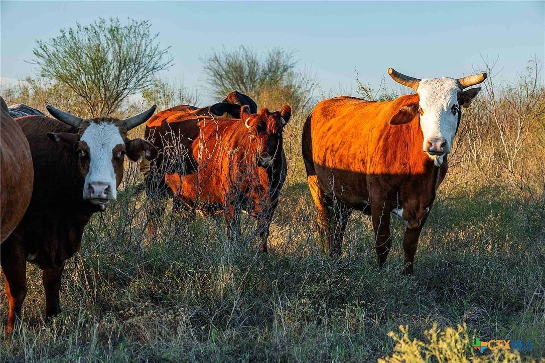 3191 County Road 463 Elgin, TX 78621 - Thumbnail 5