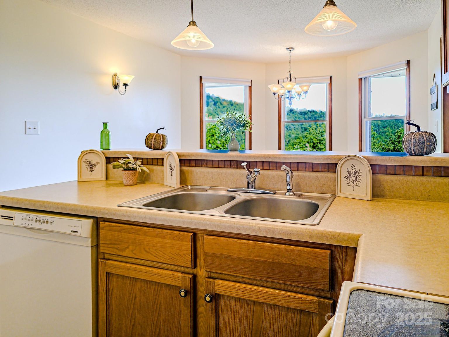 485 Mountain Lookout Dr Bostic, NC 28018 - Thumbnail 5