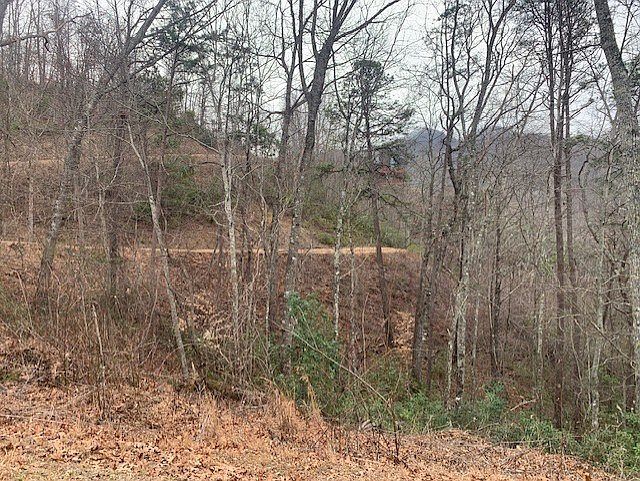 14 Fontana Ridge Rd Bryson City, NC 28713 - Thumbnail 5