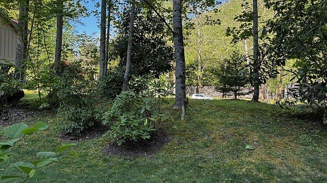 LOT 14 Mystic River Meadows Way Bryson City, NC 28713 - Thumbnail 5