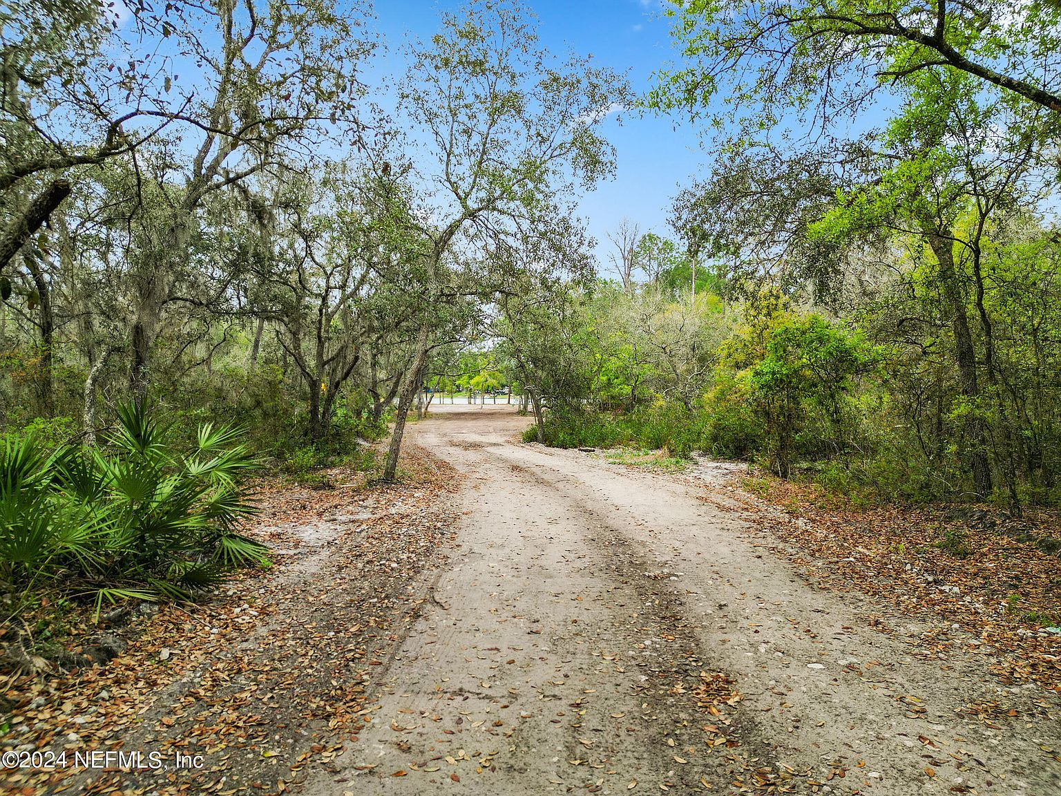 140 Junior Lake Trl Interlachen, FL 32148 - Thumbnail 5