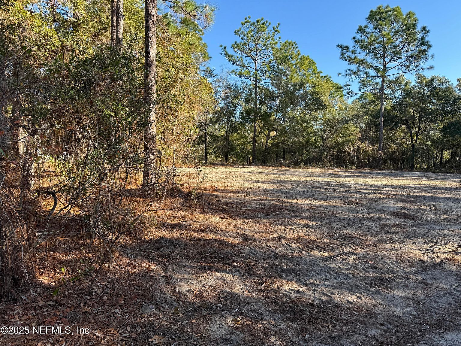 105 Race St Hawthorne, FL 32640 - Thumbnail 5