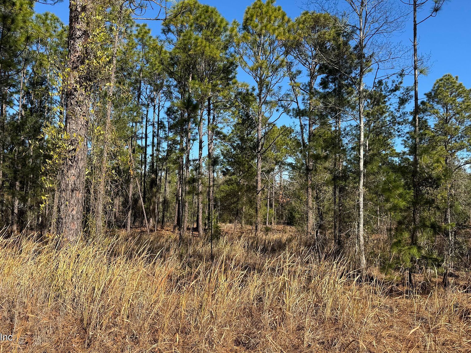 0 Poinciana Dr Interlachen, FL 32148  | Land/Lot