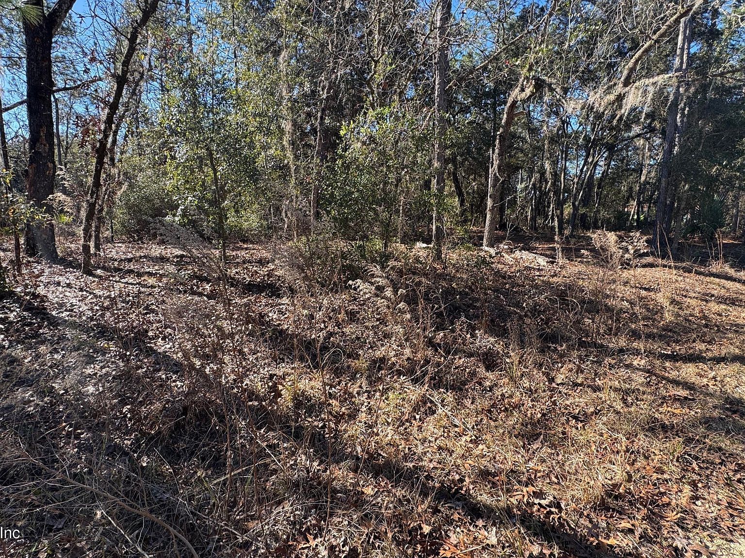 131 Spring Lake Dr Interlachen, FL 32148 - Thumbnail 5