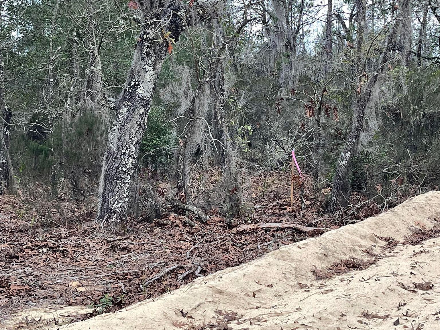 205 London Ave Interlachen, FL 32148 | Land/Lot