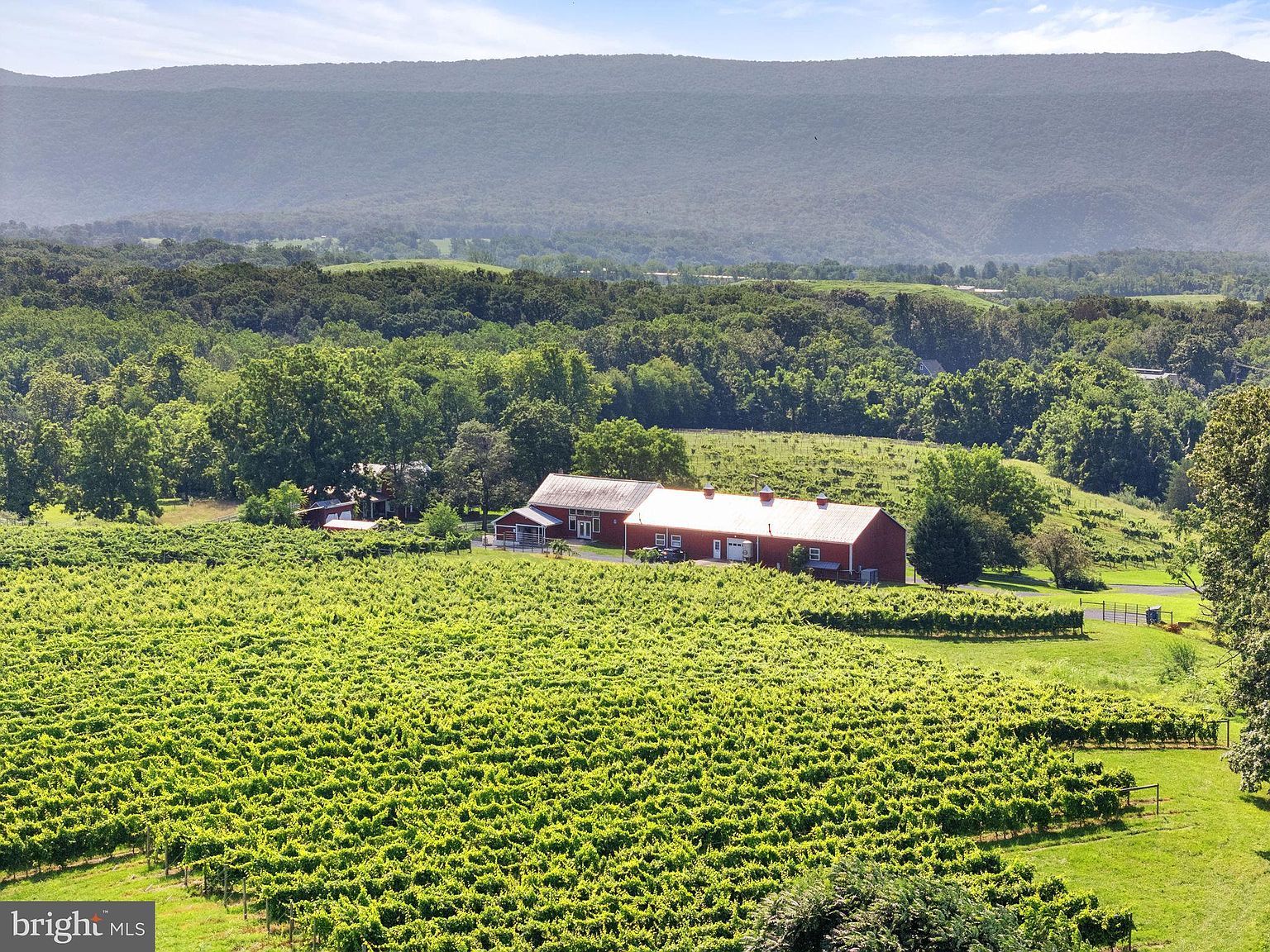 3659 S Ox Rd Edinburg, VA 22824 - Thumbnail 5