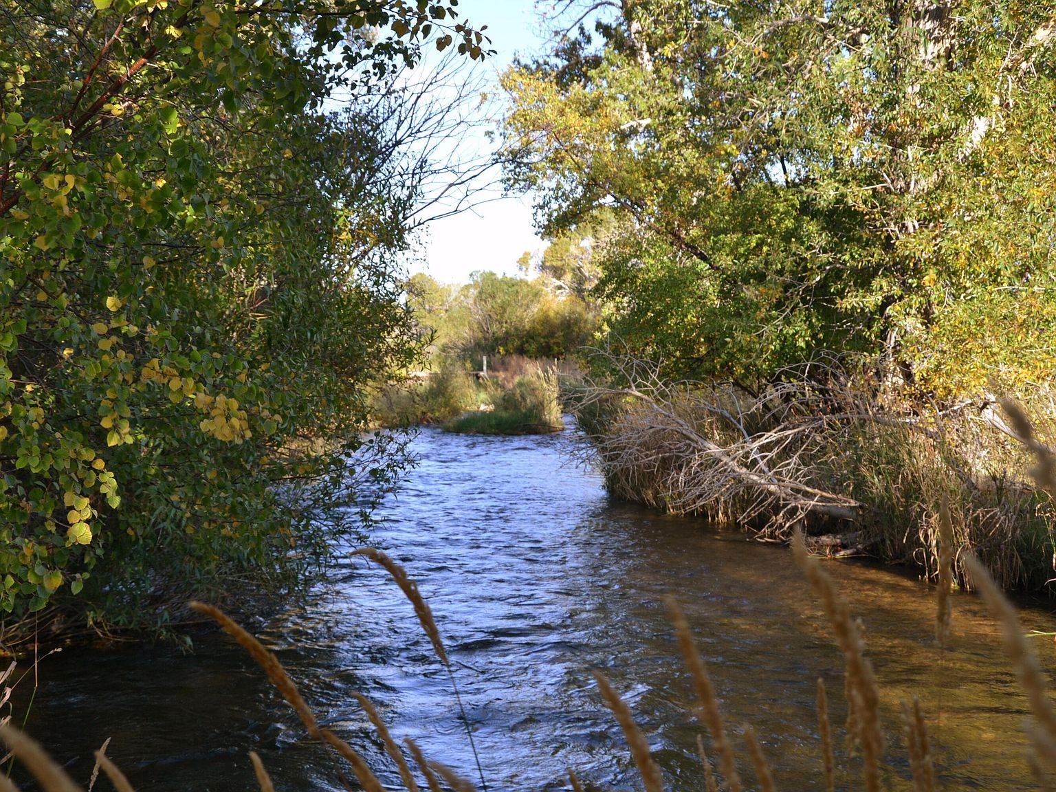 52 Road 8uc Powell, WY 82435 - Thumbnail 5