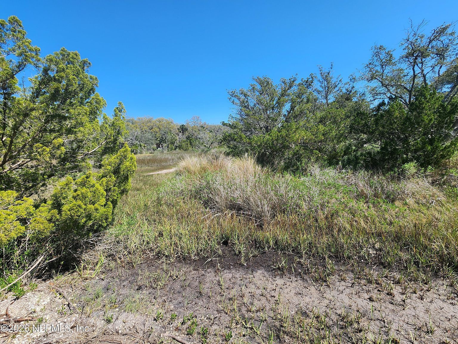 0 Shellcracker Rd Jacksonville, FL 32226 - Thumbnail 5