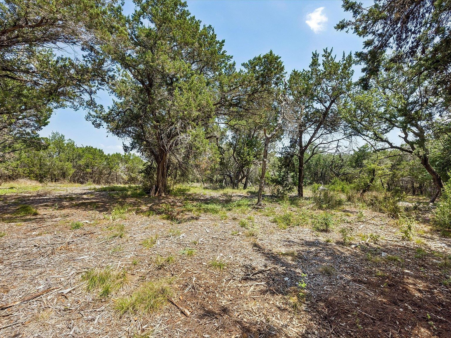 175 Spanish Oak Ln Liberty Hill, TX 78642 - Thumbnail 5