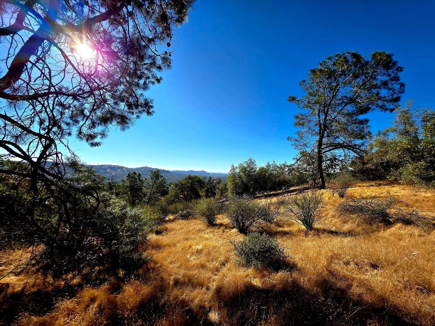 1 Lilley Mountain Dr Coarsegold, CA 93614 - Thumbnail 5