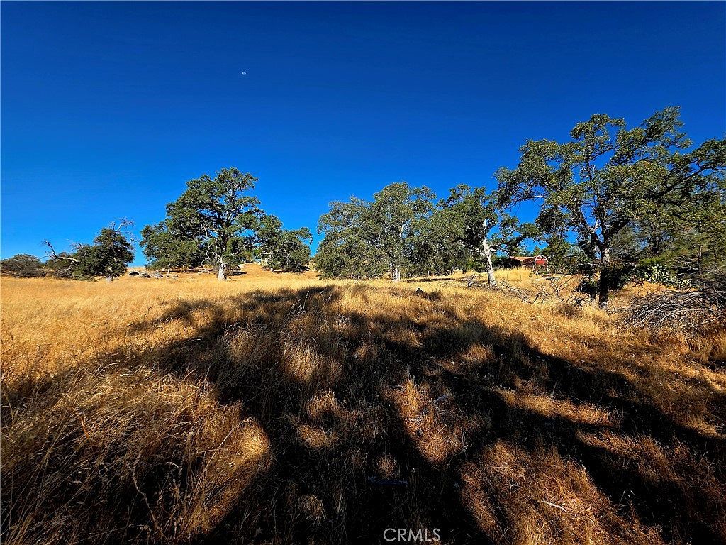1 Lilley Mountain Dr LOT 1379 Coarsegold, CA 93614 - Thumbnail 5