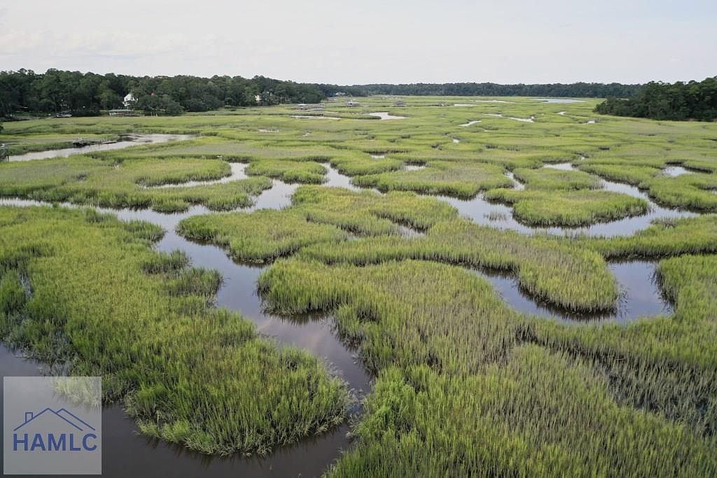 2061 Belle Island Rd Richmond Hill, GA 31324 - Thumbnail 5