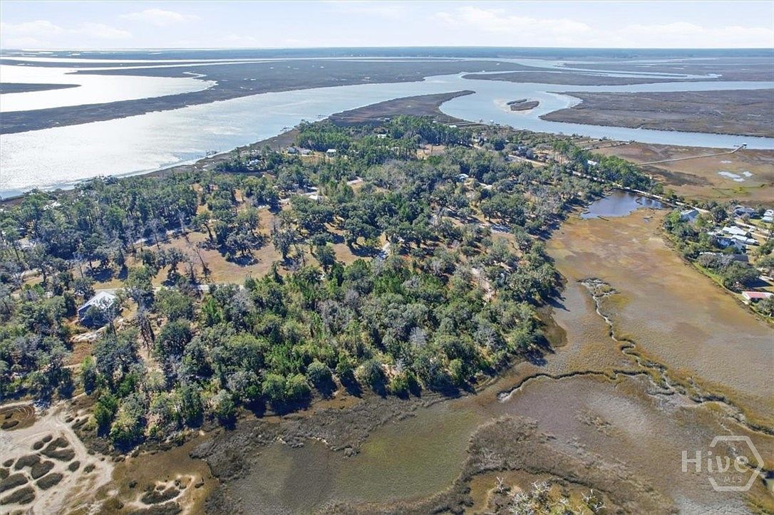 LOT 5 Bermuda Bluff Rd Midway, GA 31320 - Thumbnail 5