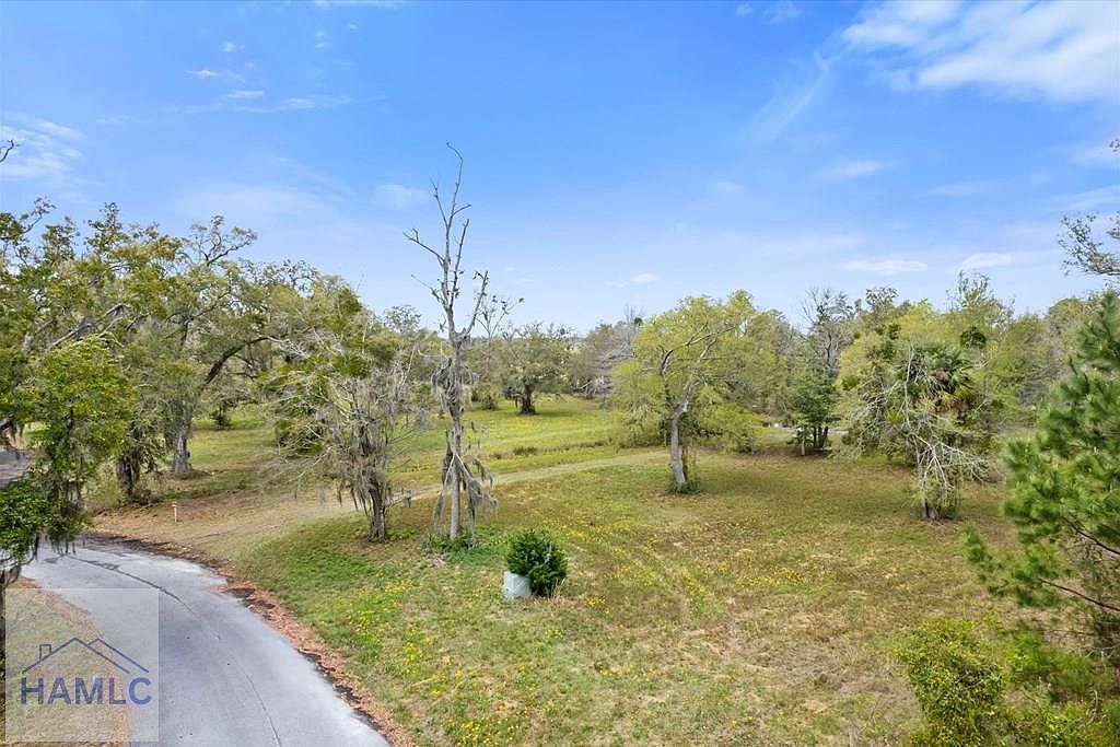 LOT 28 Bermuda Bluff Ln Midway, GA 31320 - Thumbnail 5