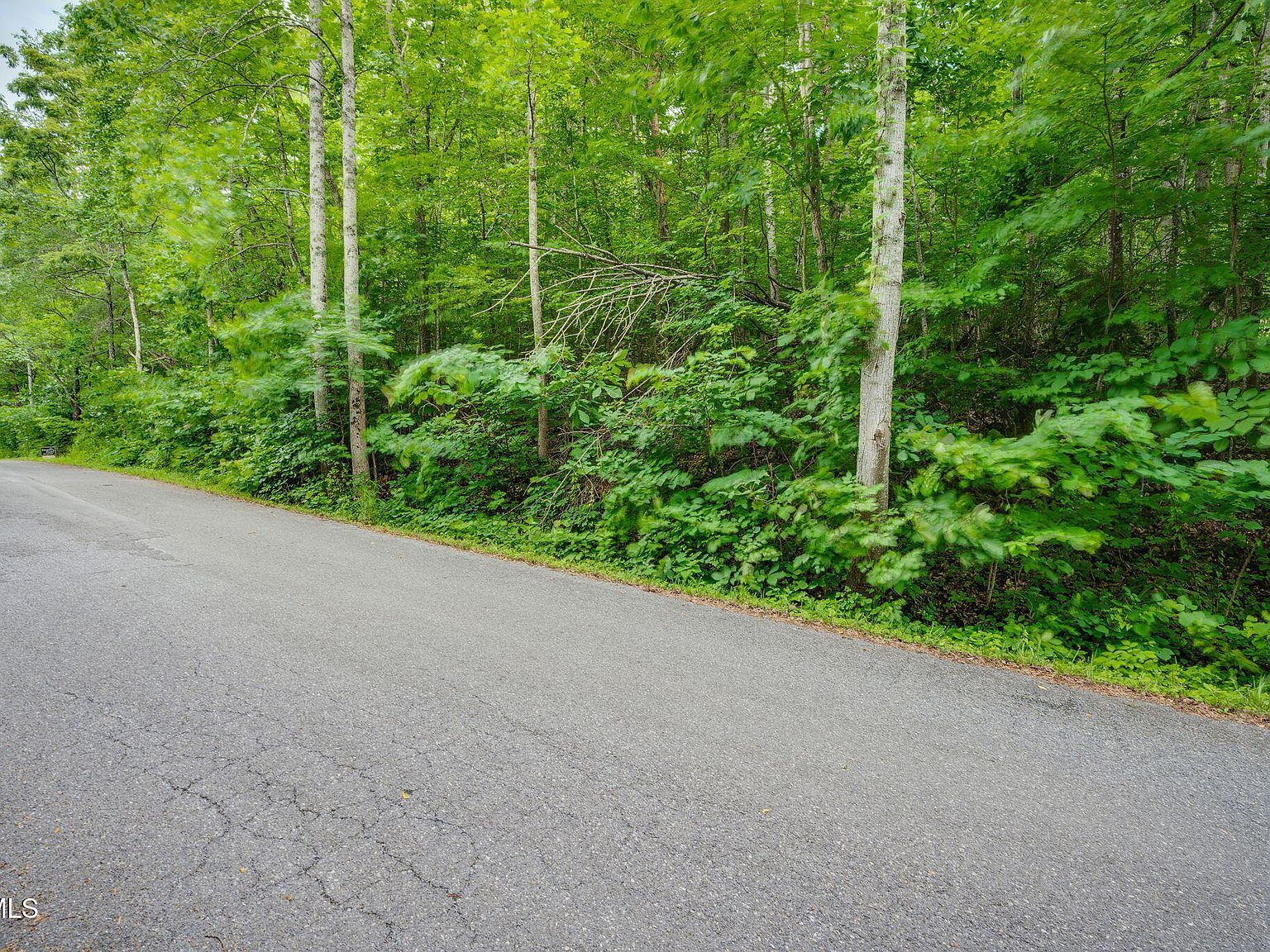 LOT 41 Ridgeheights Dr Johnson City, TN 37615 - Thumbnail 5