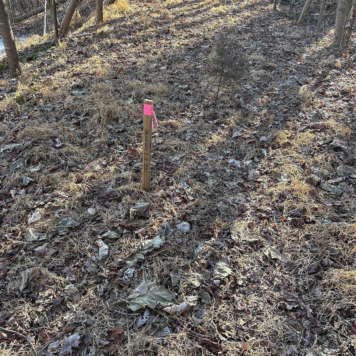 Brindlewood Dr #38V Nebo, NC 28761 - Thumbnail 5