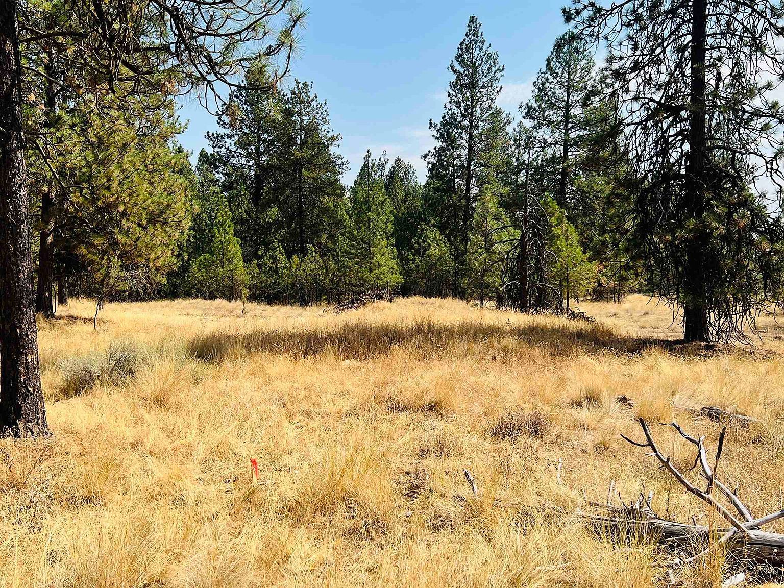 W Brooks Rd Medical Lake, WA 99022 - Thumbnail 5