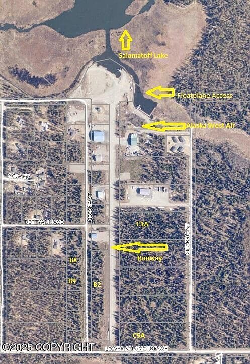 LOT C5A Citabria St Kenai, AK 99611 - Thumbnail 5