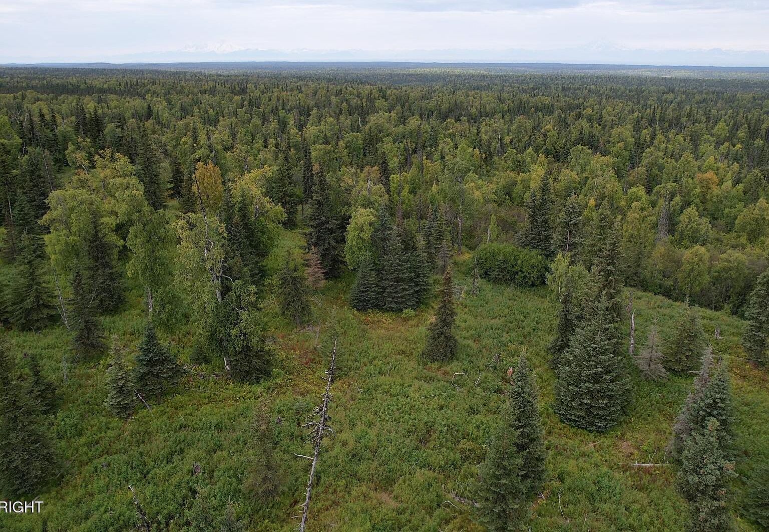 14444 Murry St Ninilchik, AK 99639 - Thumbnail 5