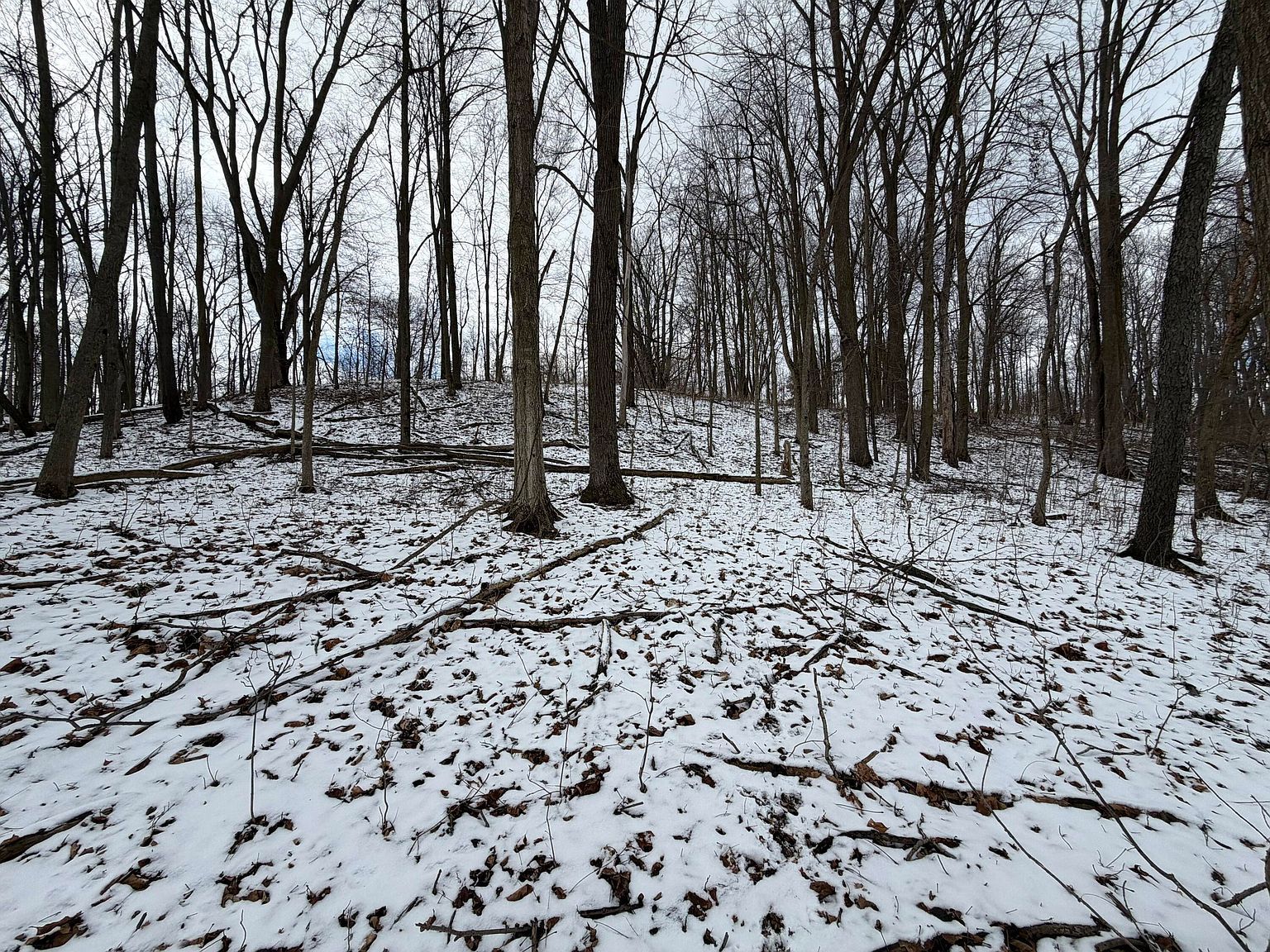 LOT 65 Hosford Dr Ionia, MI 48846 - Thumbnail 5