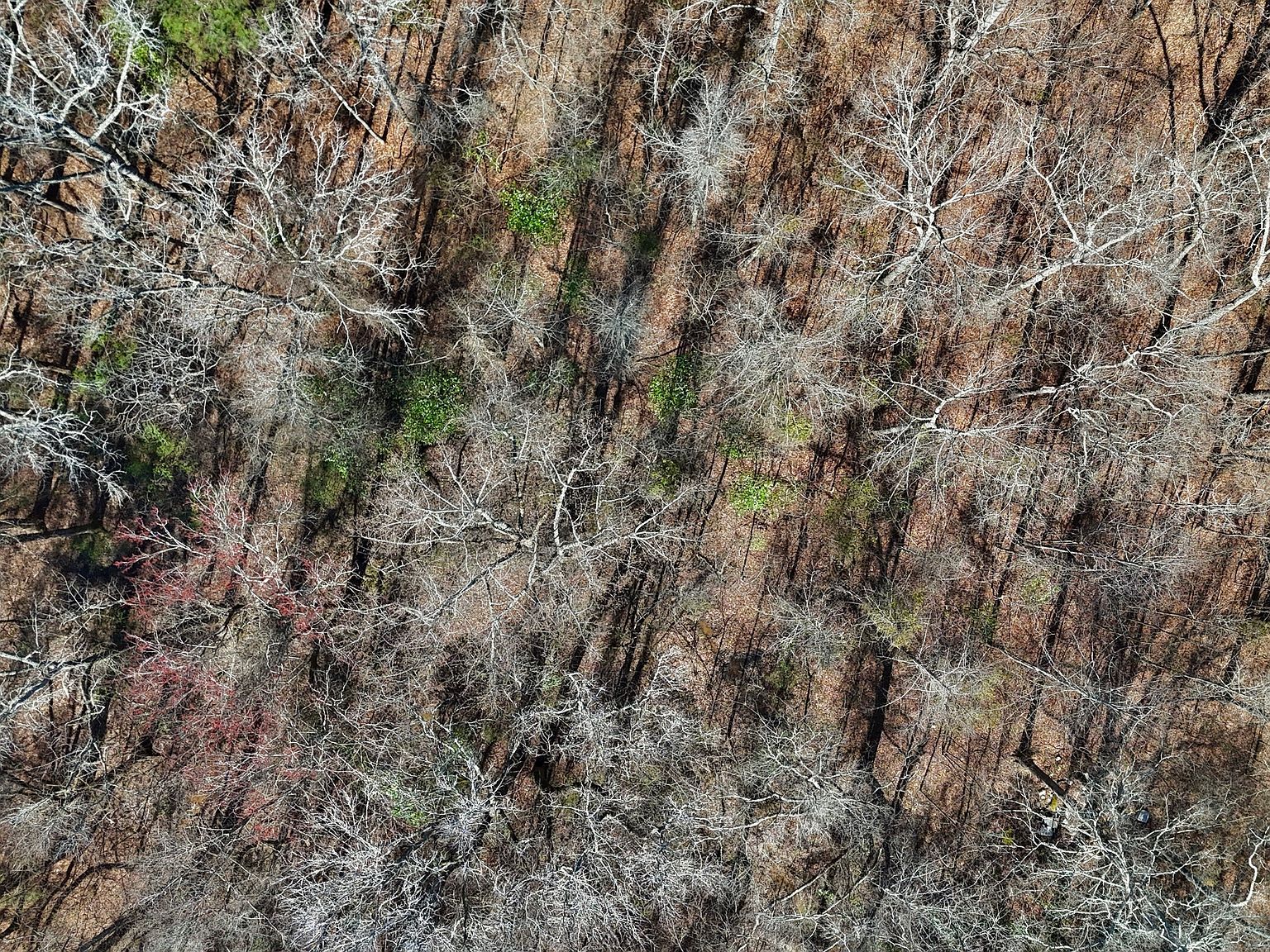 0 Old Lifsey Springs Rd Molena, GA 30258 - Thumbnail 5