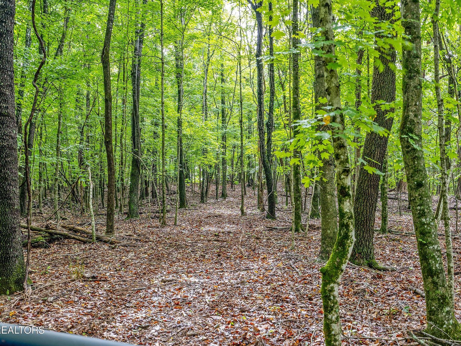 0 Sugarlimb Rd Loudon, TN 37774 - Thumbnail 5