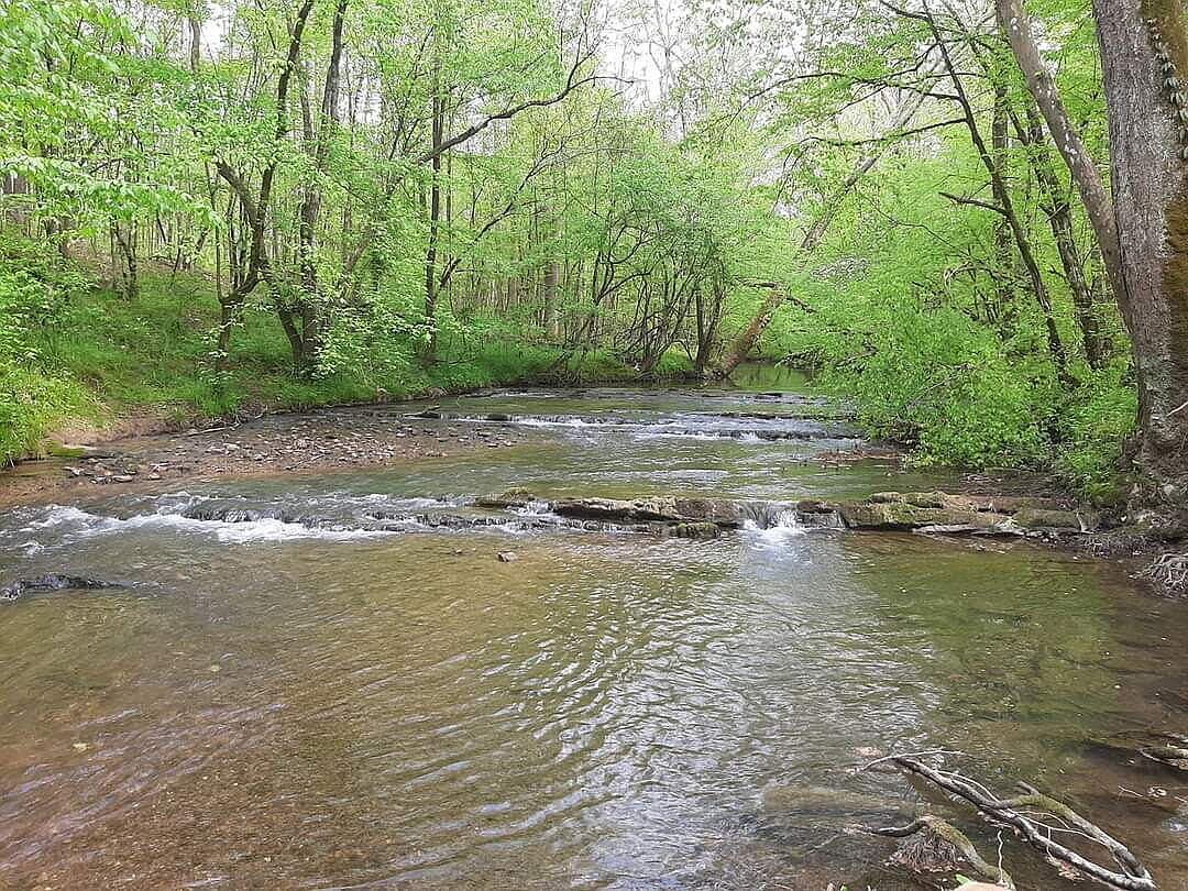 982 County Road 229 Niota, TN 37826 - Thumbnail 5