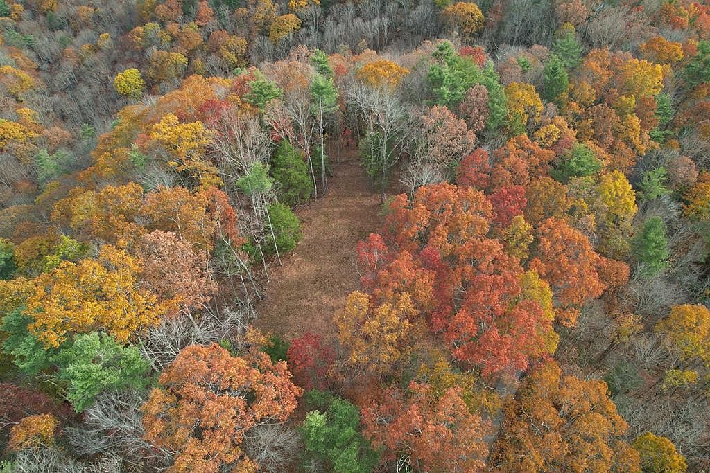 700 Ellison School Rd Camp Creek, WV 25820 - Thumbnail 5