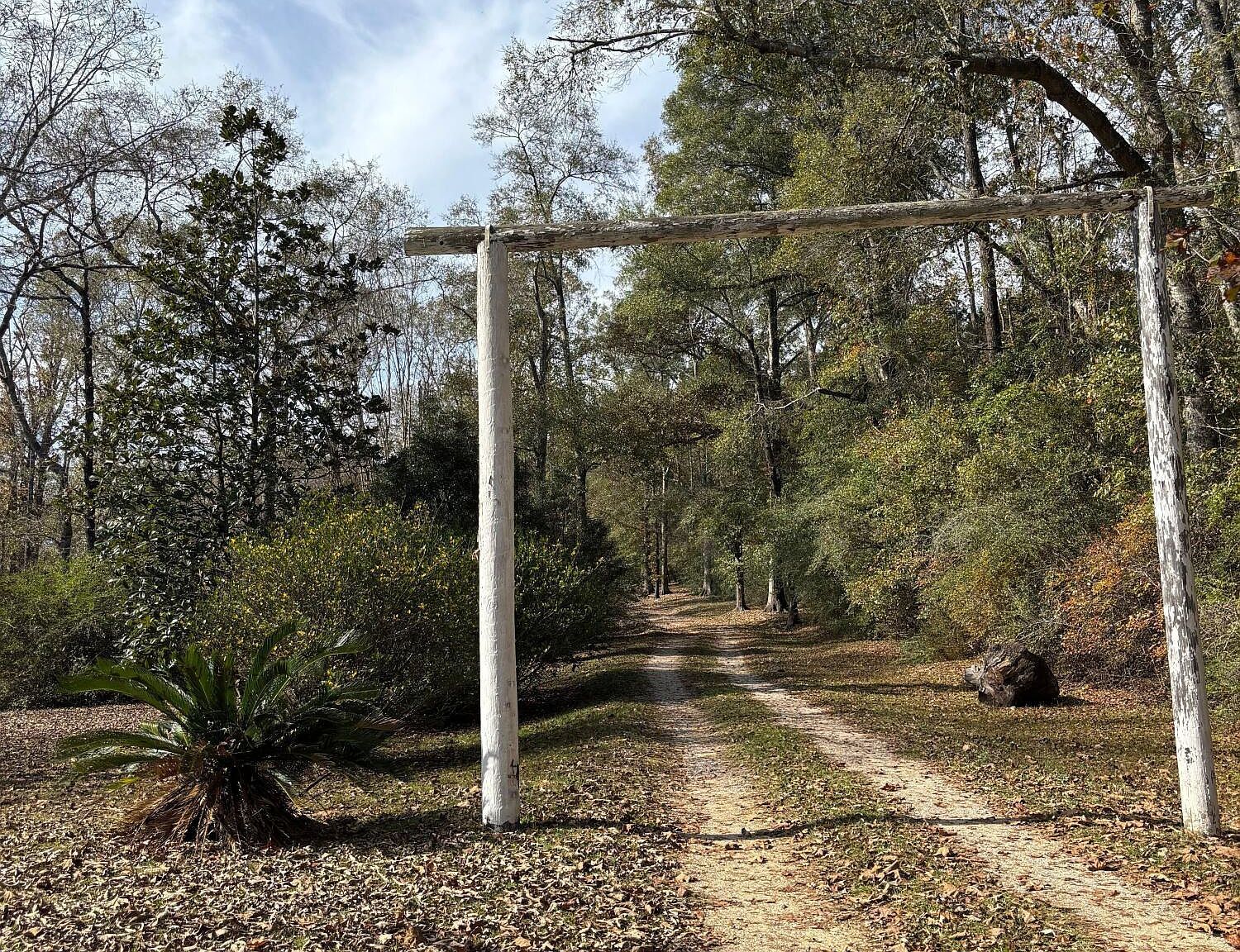 405 Old Highway 49 Wiggins, MS 39577 - Thumbnail 5