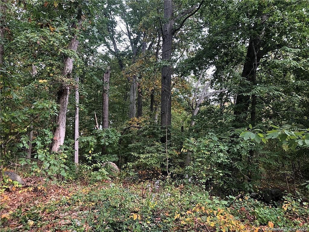 983 Boston Post Rd Madison, CT 06443 - Thumbnail 5