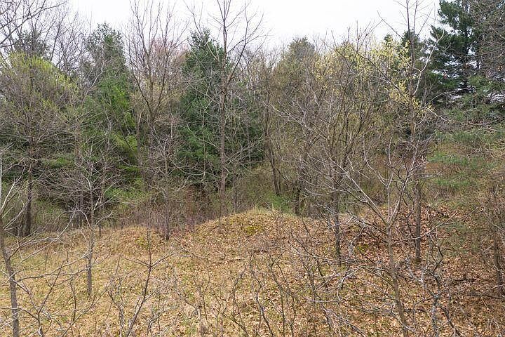 0 Bond St Harrison, MI 48625 - Thumbnail 5