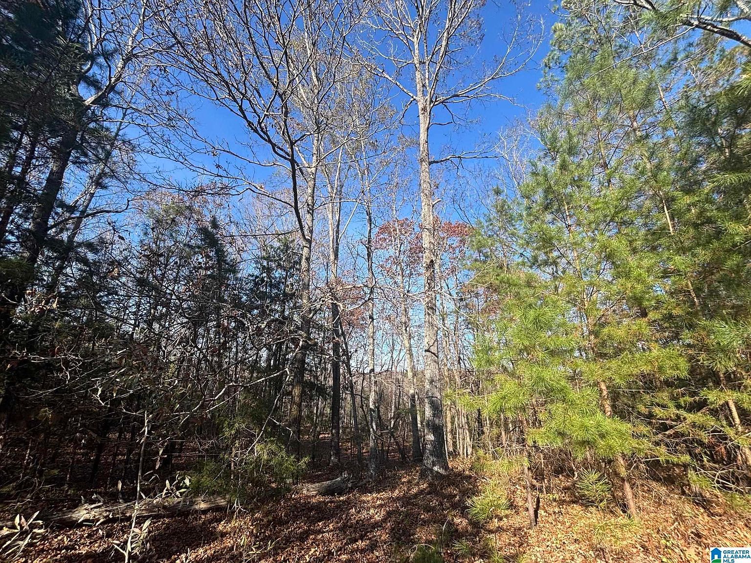 0 Smith Ln #0 Talladega, AL 35160 - Thumbnail 5