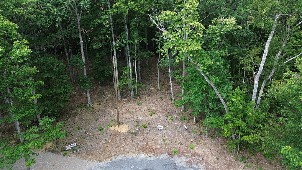 0 Bluff Ln Spencer, TN 38585 - Thumbnail 5