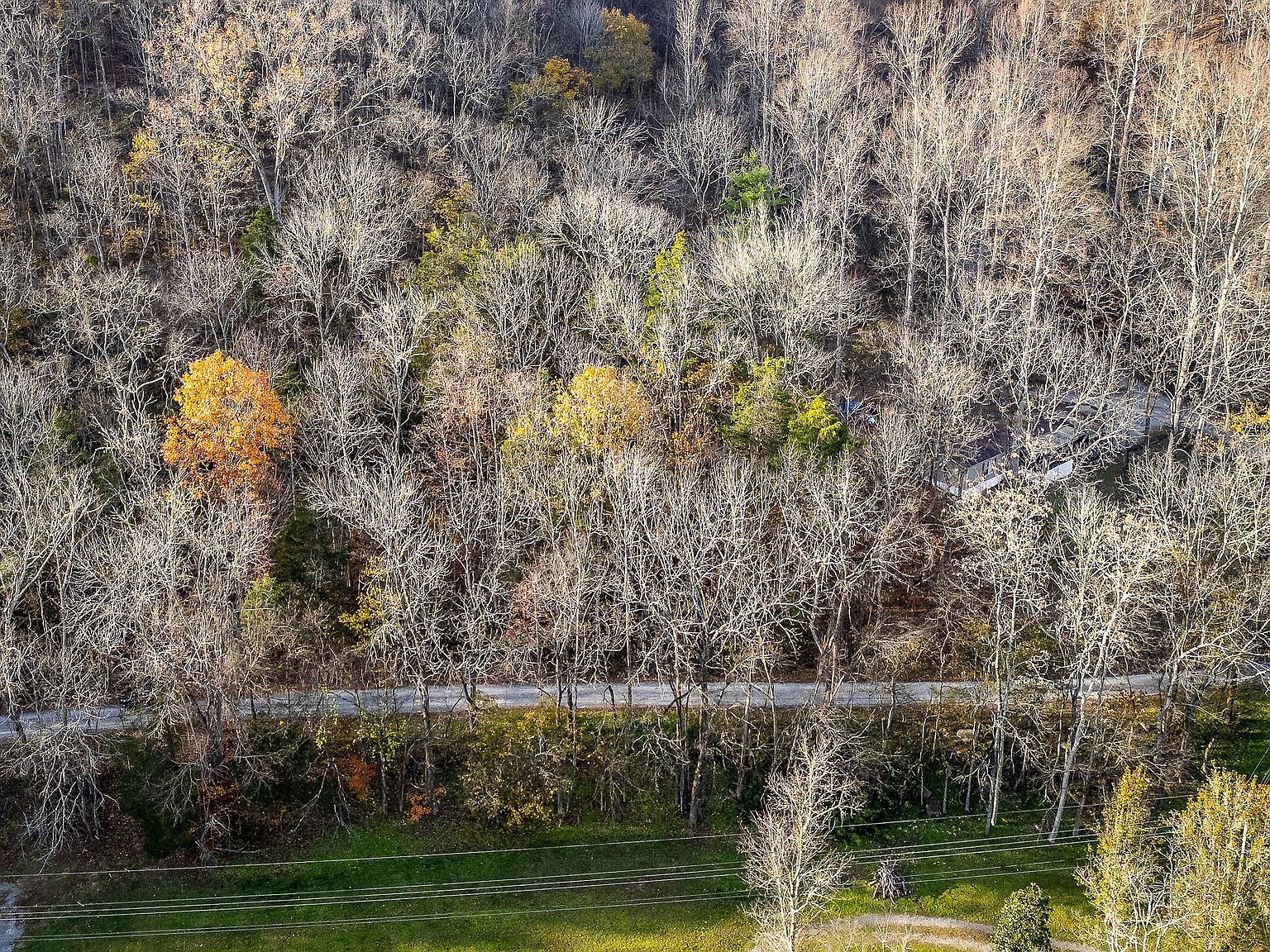 9 Shady Ln Lot 9 Smithville, TN 37166 - Thumbnail 5