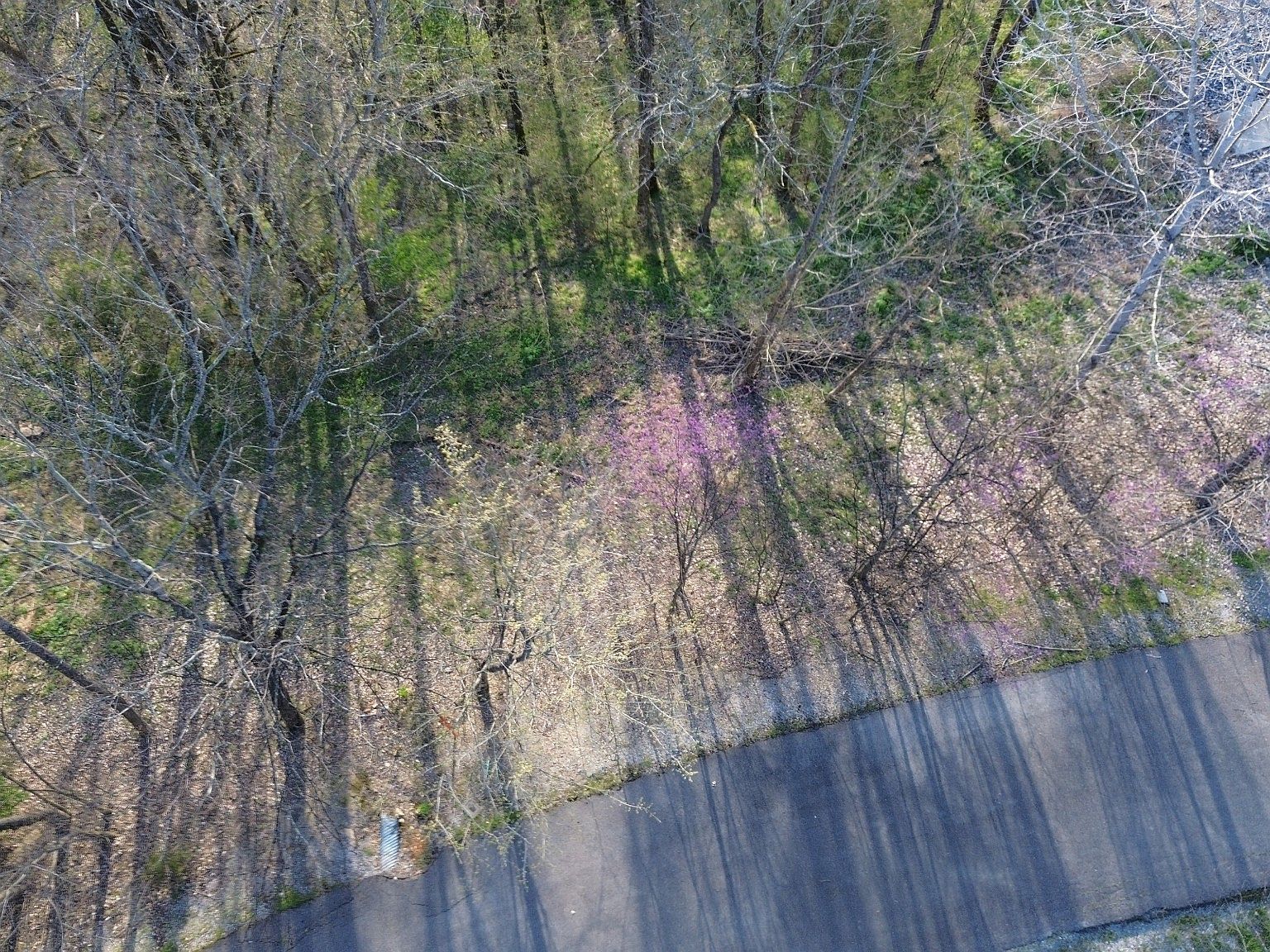 0 Wilson Cir Lot 105 Smithville, TN 37166 - Thumbnail 5