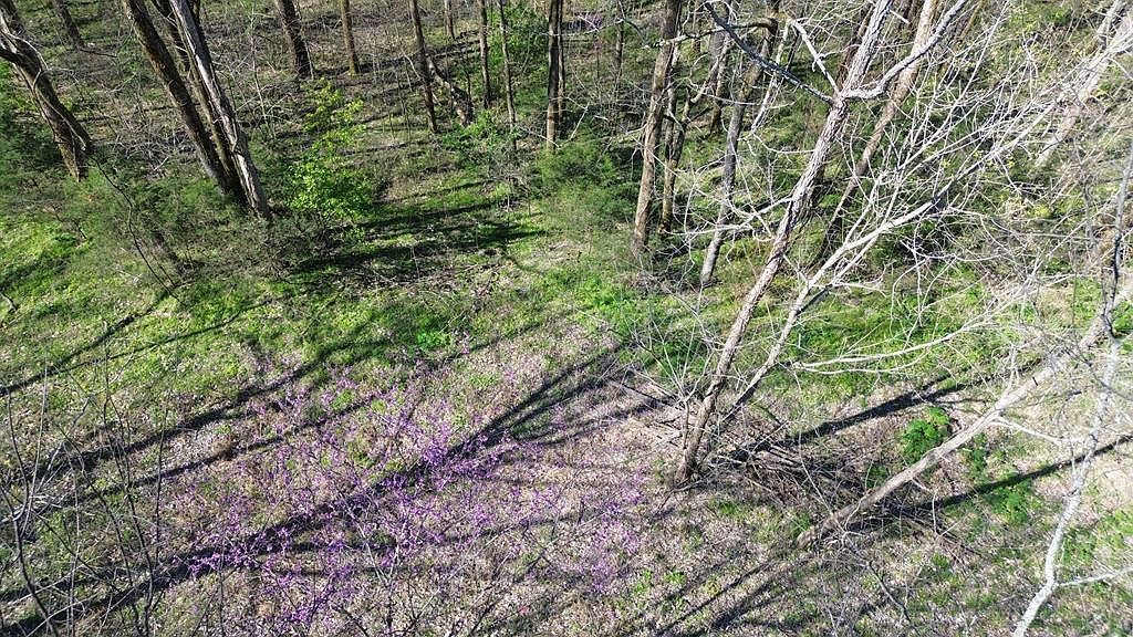 0 Wilson Cir Smithville, TN 37166 - Thumbnail 5