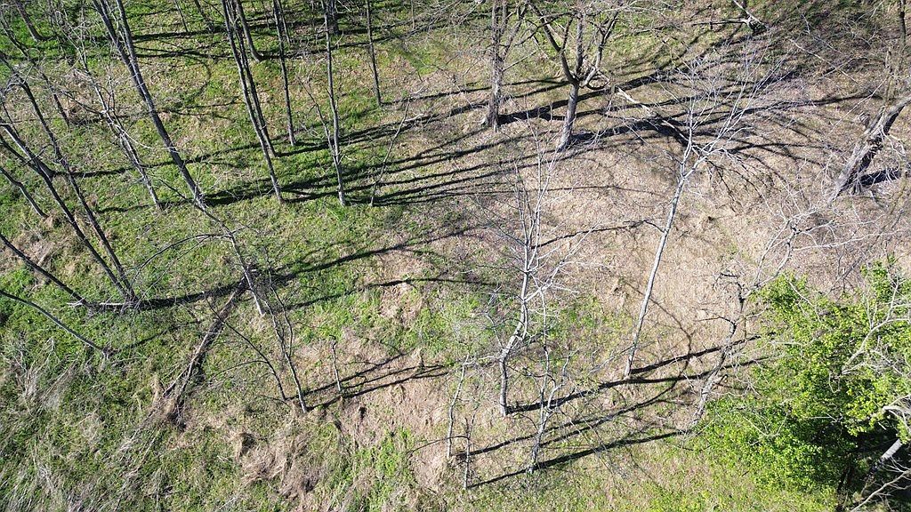 0 Blackberry Ridge Way Smithville, TN 37166 - Thumbnail 5