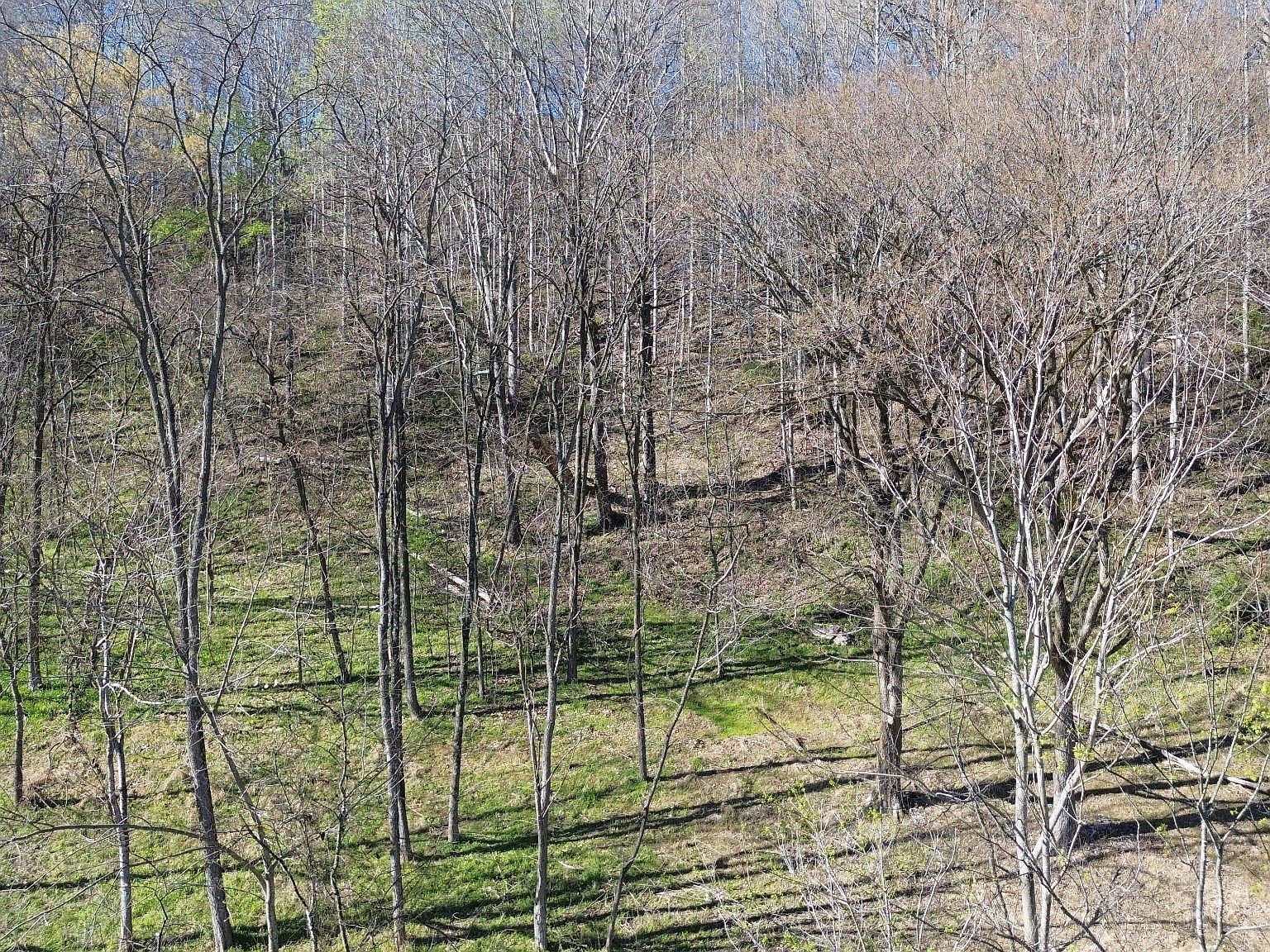 0 Blackberry Ridge Way Lot 104 Smithville, TN 37166 - Thumbnail 5