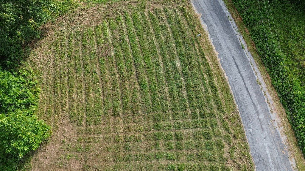 0 Summer Breeze Dr Lot 12 Smithville, TN 37166 - Thumbnail 5