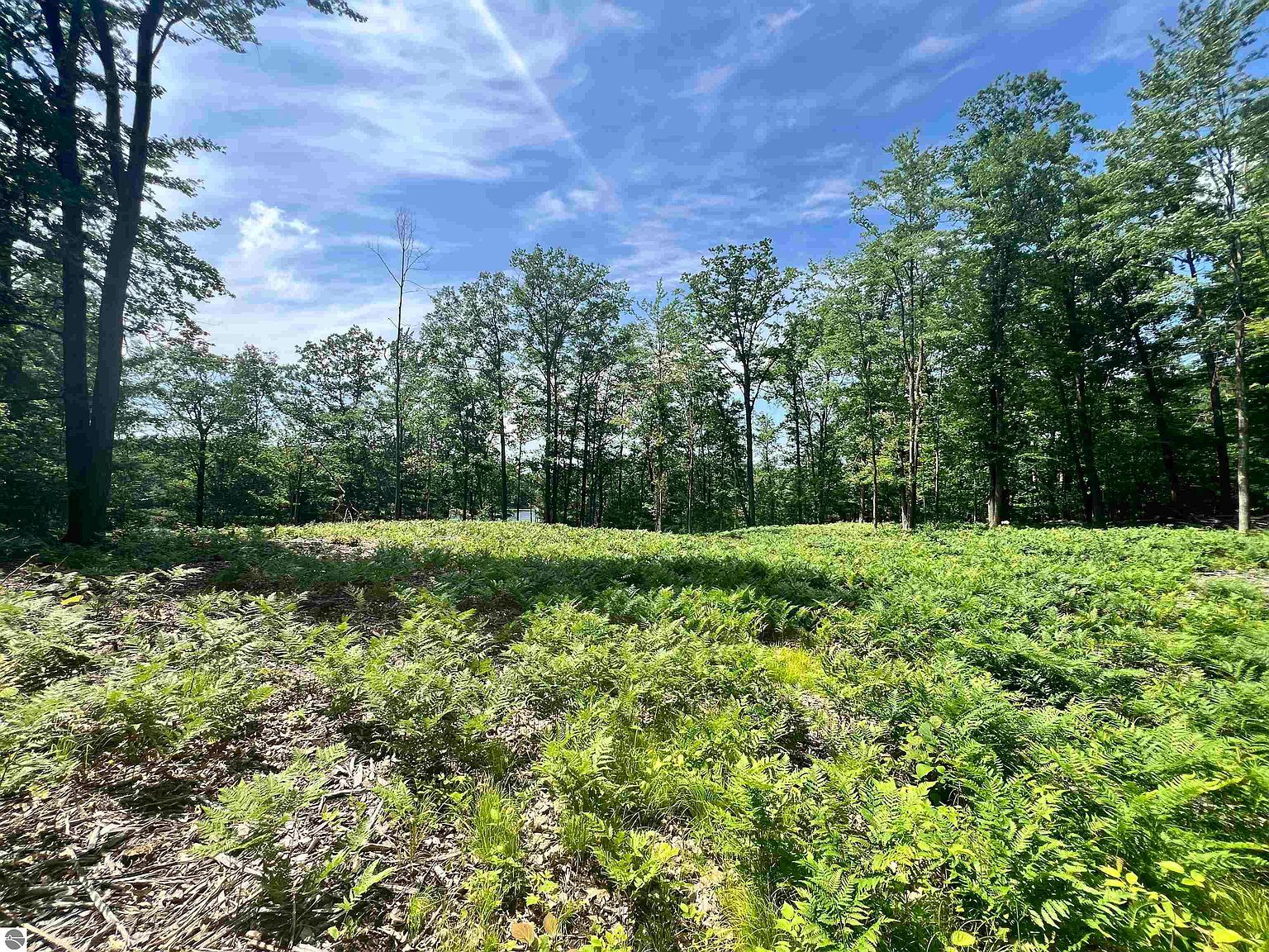 8653 Lakeside Trl Harrison, MI 48625 - Thumbnail 5