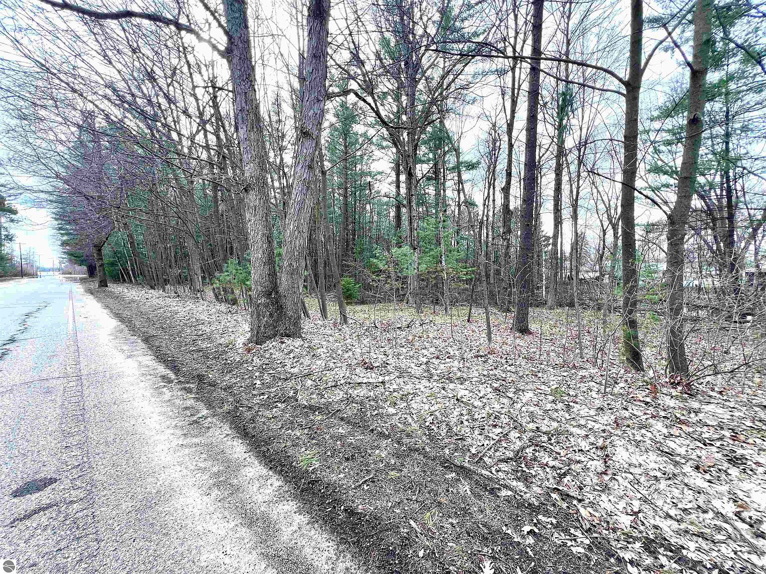 0 Kenwood Rd Cadillac, MI 49601 - Thumbnail 5