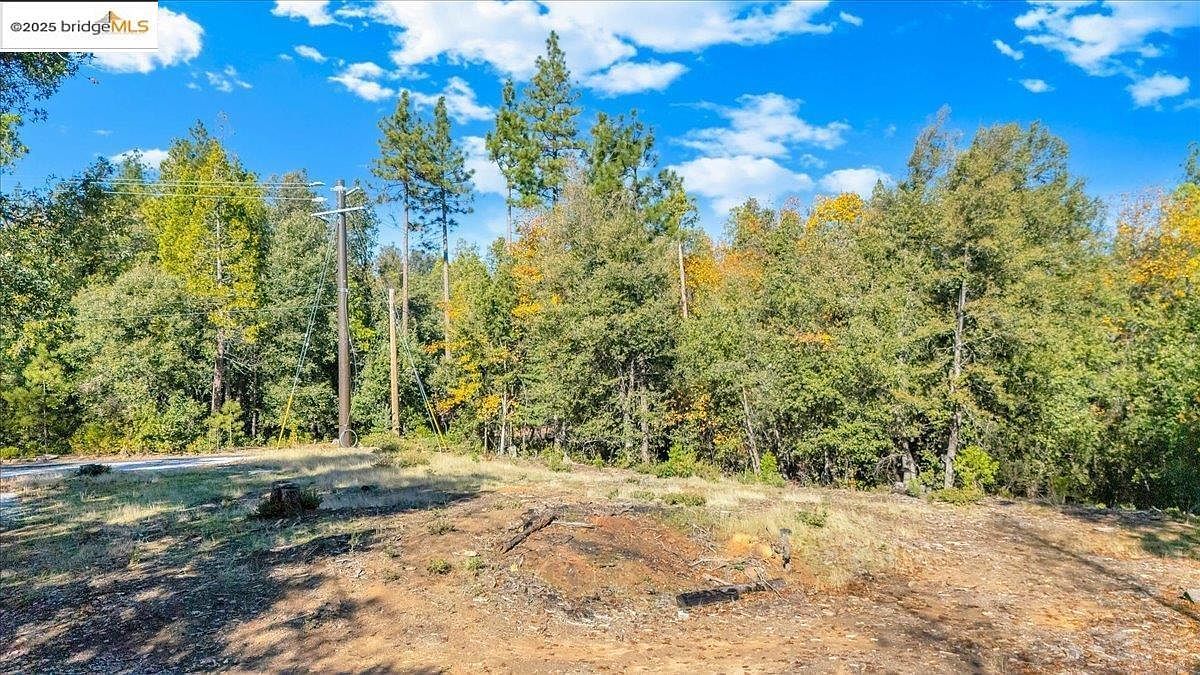 22919 Lazy Z Ln Sonora, CA 95370 - Thumbnail 5