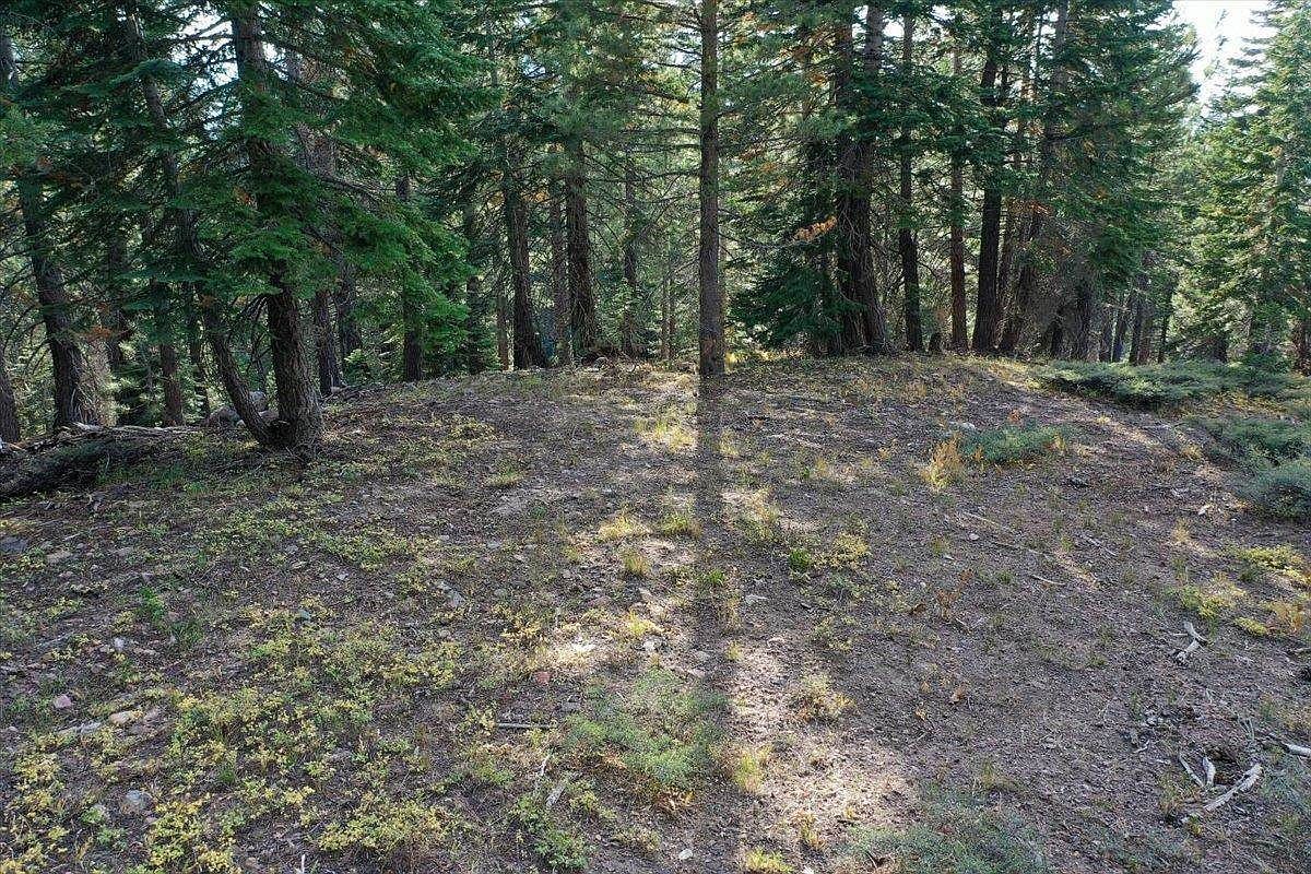 5N01 Eagle Meadow Rd Strawberry, CA 95375 - Thumbnail 5