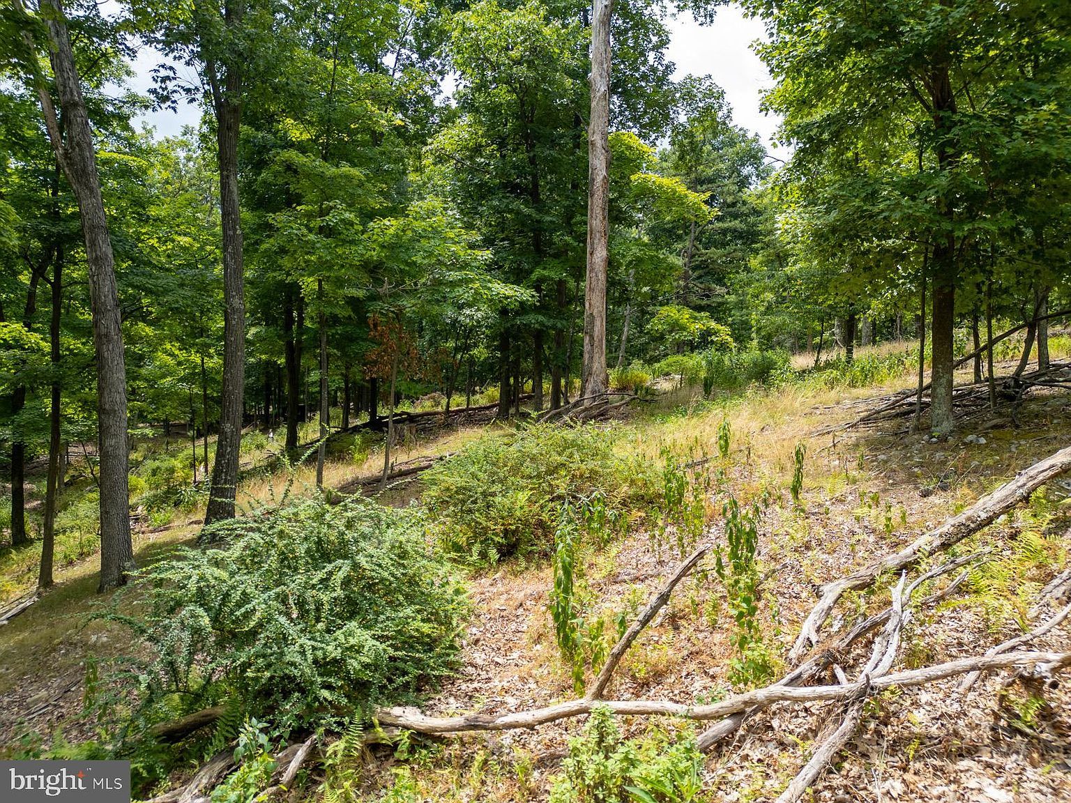 55 & 56 Sarah Lincoln Dr New Creek, WV 26743 - Thumbnail 5