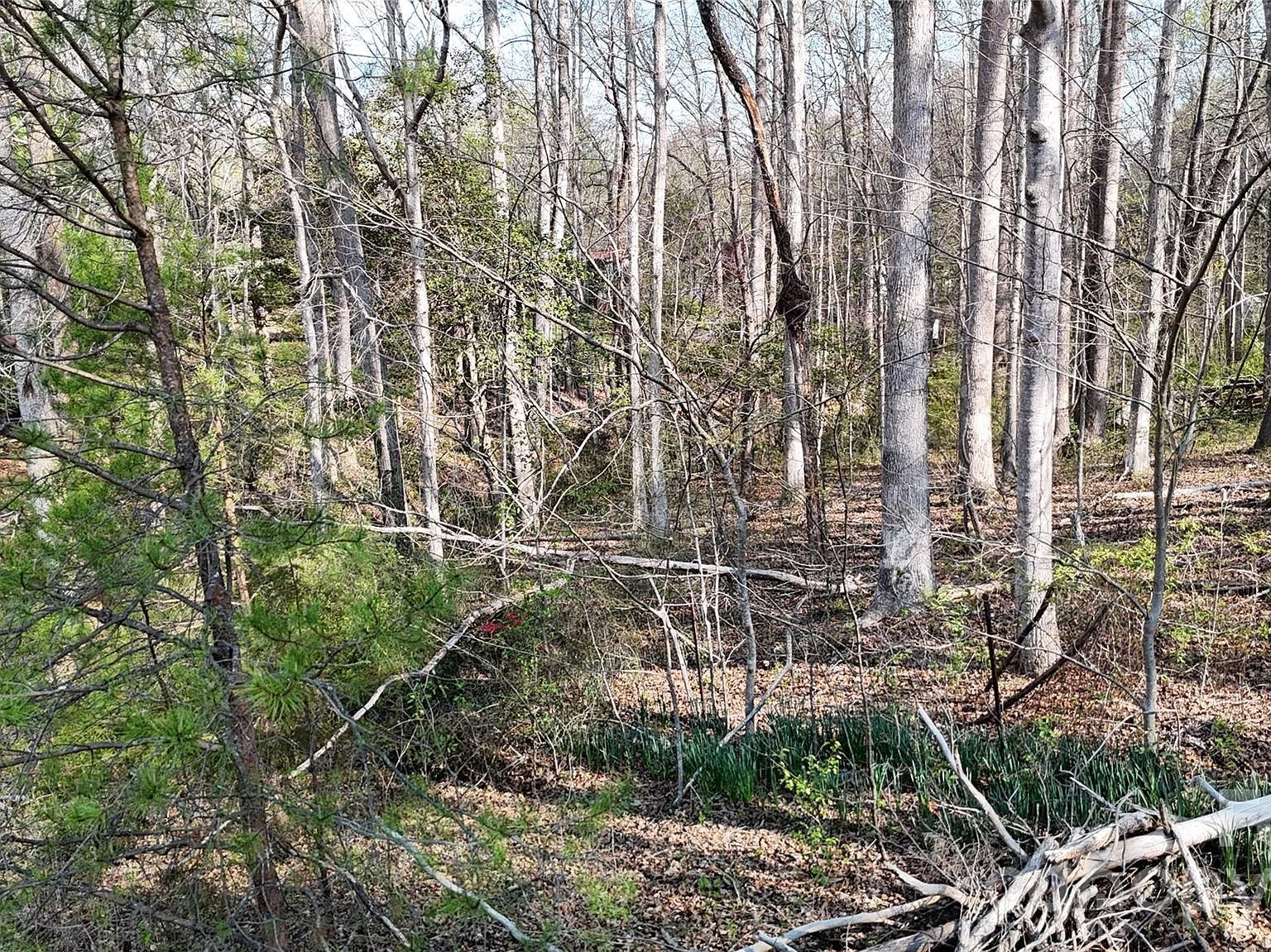 2360 Journeys Pass Newton, NC 28658 - Thumbnail 5