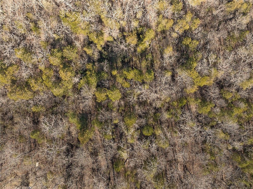 62 E Fawn St Lead Hill, AR 72644  | Land/Lot