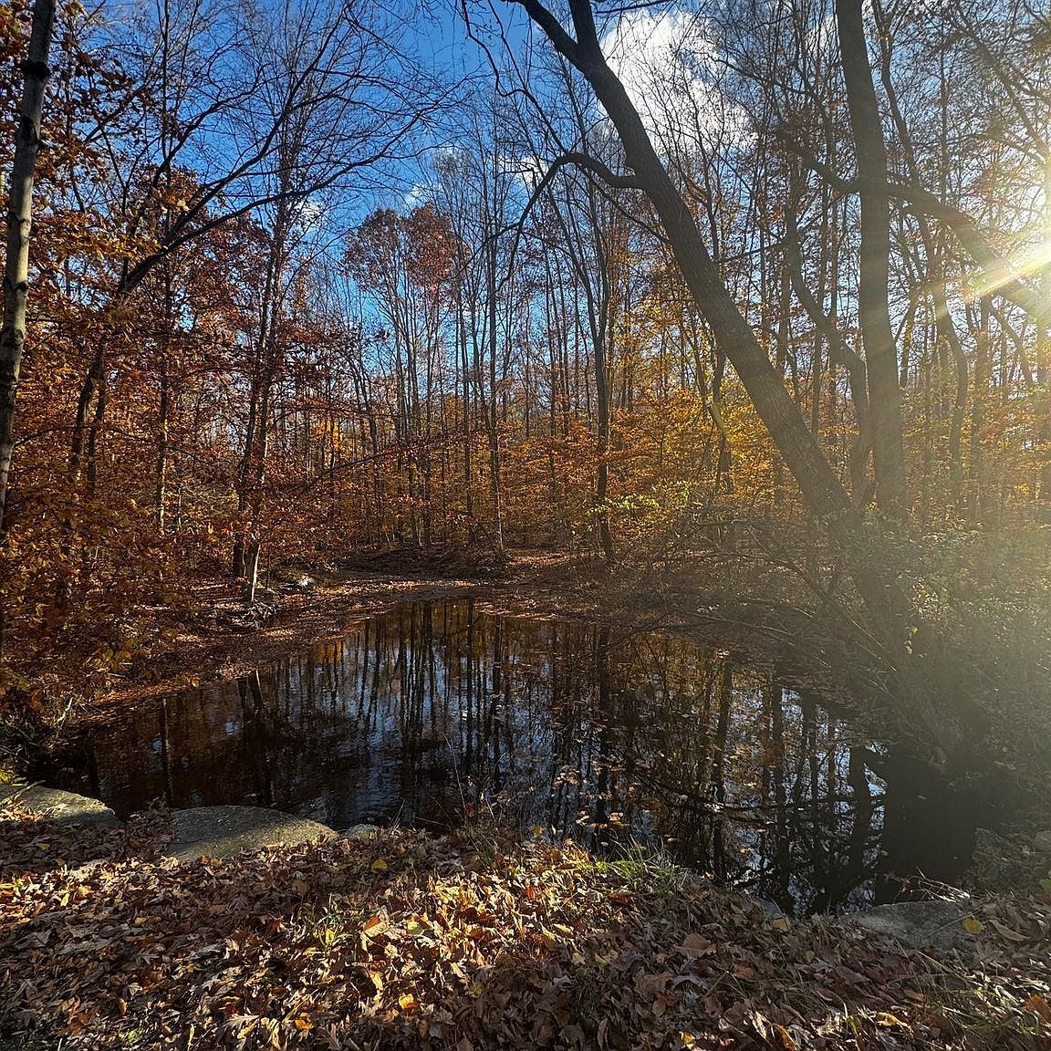 749 Gilbert Rd Aberdeen, MD 21001 - Thumbnail 5