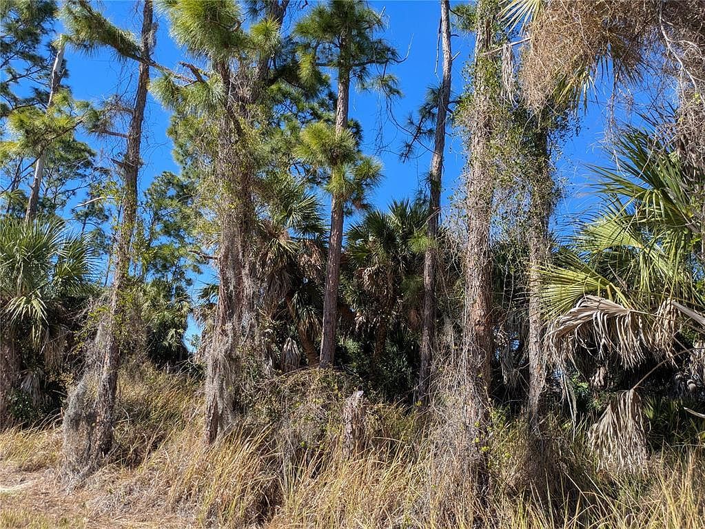Casco Cir Lot 28 North Pt, FL 34288 - Thumbnail 5