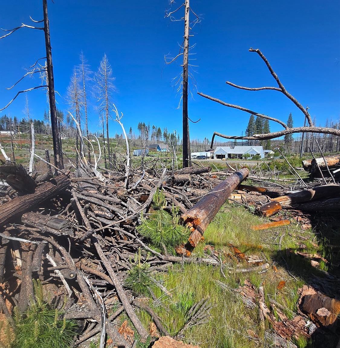 Golden Aspen Dr Grizzly Flats, CA 95636 - Thumbnail 5