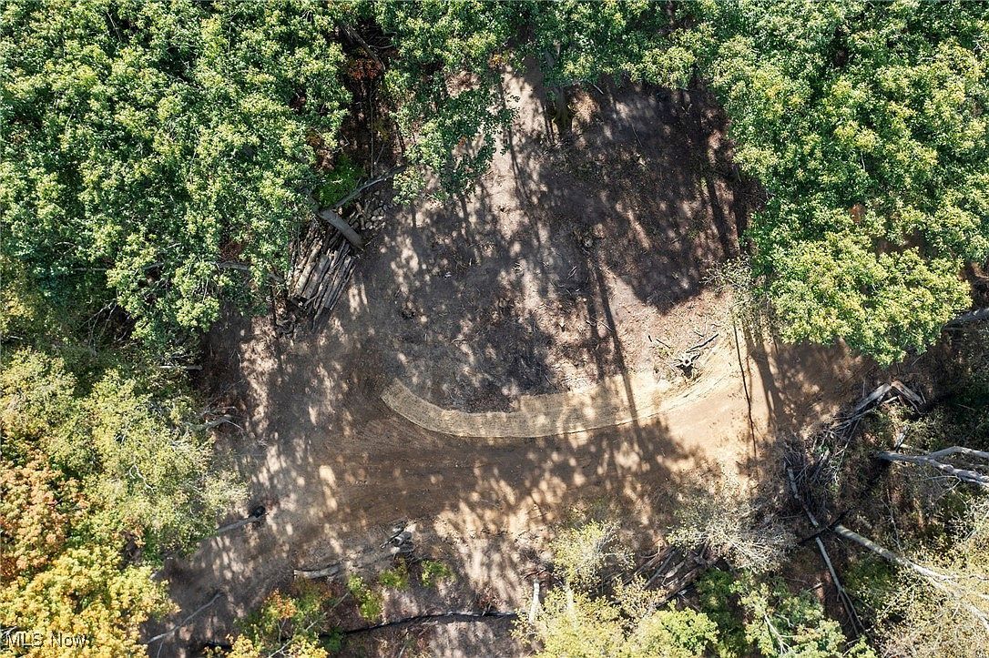 10899 Tibbetts Rd Willoughby, OH 44094 - Thumbnail 5